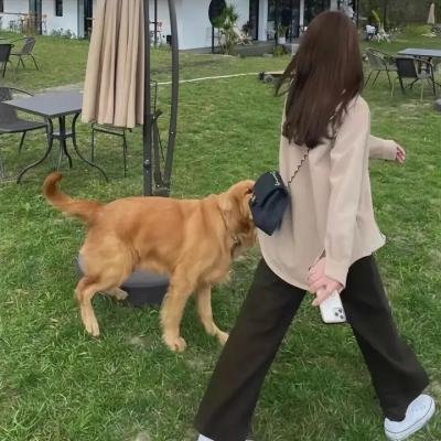蝴蝶屋